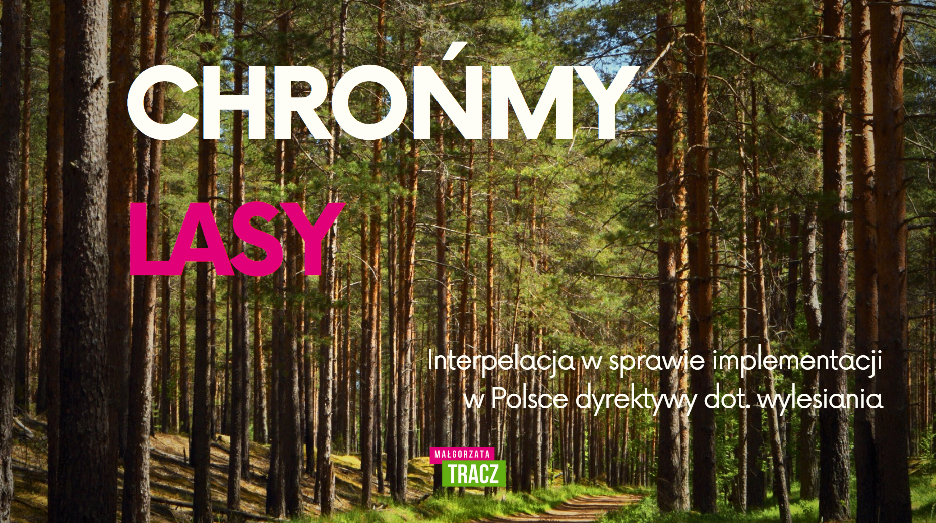 Chrońmy lasy! Interpelacja w sprawie implementacji dyrektywy dot. wylesiania