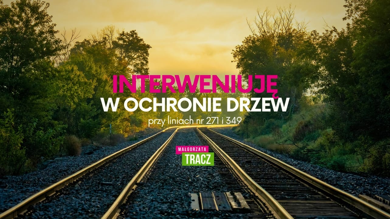 Interwencja poselska w sprawie  wycinek drzew wzdłuż linii kolejowych na terenie Wrocławia