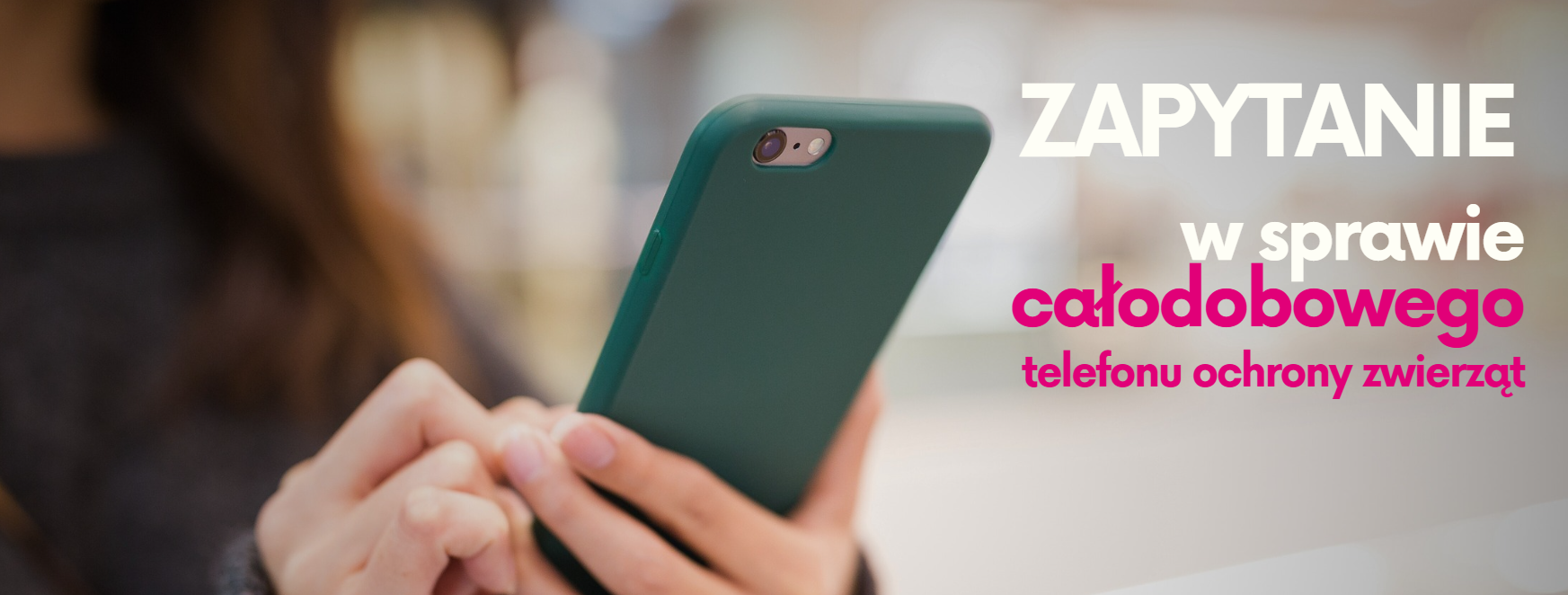 Zapytanie poselskie w sprawie całodobowego telefonu ochrony zwierząt