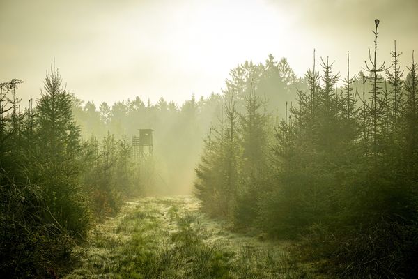 Interwencja w sprawie budowy wieży widokowej na szczycie Śnieżnika