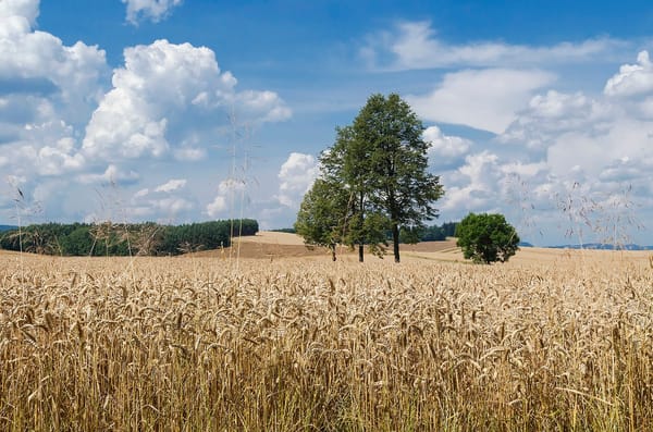 Interpelacja nr 4123 w sprawie zmian w ustawie o gospodarowaniu nieruchomościami rolnymi Skarbu Państwa