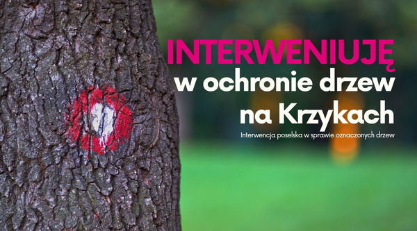 Interwencja poselska w sprawie oznaczonych drzew w korycie Olszówki Krzyckiej