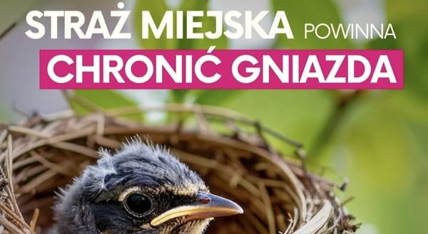 Interpelacja o nadaniu kompetencji strażom gminnych w zakresie ochrony siedlisk ptaków